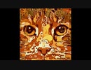 【NNIオリジナル】Katzensprung
