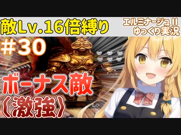 【エルミナージュⅡ】"敵Lv16倍"縛りで徹底的にエルミ2を楽しむ【ゆっくり実況】.part30