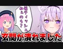「箱ティッシュねぇのら？」の雑談をした後大量のティッシュのプレゼントがきたおかゆん【猫又おかゆ/姫森ルーナ/ホロライブ切り抜き】