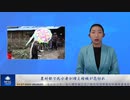 農村部で死亡者が、増え棺桶が売切れ