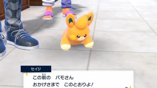 パモさん