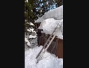 雪へジャ〜ンプ❗️❗️❗️