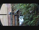 [サバゲー]前半ダメでもフラッグは取れる