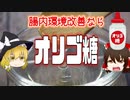 【ゆっくり解説】オリゴ糖の栄養について解説！