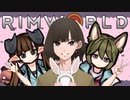 リムで狂った後.mp8