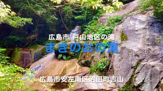 広島市の滝/後編「まきのおの滝」　広島市安佐南区沼田町　吉山の自然散策2022　