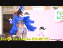 -サンバ-Escola-De-Samba-KOBECCO-Led-Zeppeli