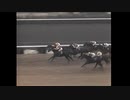 【競馬MAD】Stardom