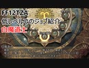 【FF12 TZA】低レベルでのジョブ紹介　白魔道士【ゆっくり実況】