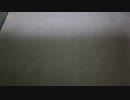 【閲覧注意】こんなものが部屋に落ちてました（汗）