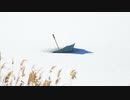 嘘だけ（feat.裏命）