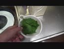 大葉(シソ)健康に食べてます2021年8月28日