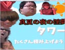真夏の夜の淫夢タワー