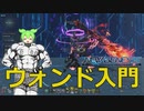 【PSO2NGS】ウォンドで簡単お手軽ボス戦立ち回り入門