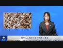 糠やもみ殻等の食材開発に懸念