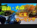 FJR1300 AS 蒜山・大山 紅葉 ツーリング