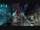 【グロ注意】怖くて難しいと評判のサイコブレイクをプレイ#14