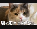 寝る前はこんな感じ…