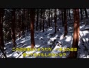 （山靴の重要性？を話しながら山歩き回ｗ）変態忍者の、有害鳥獣駆除従事活動記・その２２８