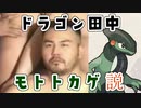 ドラゴン田中モトトカゲ説＋おまけ.SV
