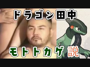 ドラゴン田中モトトカゲ説＋おまけ.SV