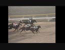 【競馬MAD】Stardom【改】