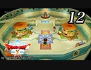ドラゴンクエストＸオフライン～目覚めし五つの種族【初見プレイ】Scene12