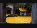 【フリーBGM】故郷 / 四郎田中39