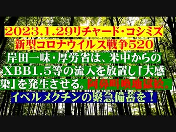 【2023年01月29日：リチャード・コシミズ Internet 講演 （ ニコニコ生放送 ）（ 改良版 ）】