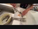 【小幡友美】小幡友美の放送　釣れたハゼを捌く。2023年1月22日