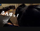 【第101回】粉挽おばさんと熱視線とマドカズラとお屠蘇