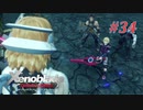 【ゼノブレイドDE】実況プレイ-part34-