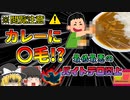 【2021年福岡】大学生バイト たった15秒の動画投稿で人生終了 福岡カレーチェーン店バイトテロ事件【ゆっくり解説】