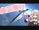 乗客が意識不明になり燃料が切れるIAちゃん航空【MSFS】