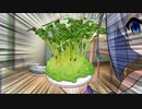 【VOICEVOX劇場】かいわれずんだ