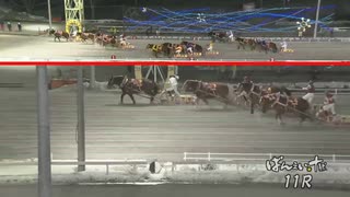 第33回ヒロインズカップ ナカゼンガキタ