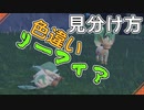 色違いリーフィアの見分け方【ポケモンSV】