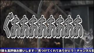 デッドライジング3怖すぎｗｗｗｗｗｗｗ