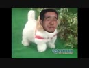 愛犬ロボ「べつ」