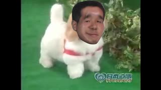 愛犬ロボ「べつ」