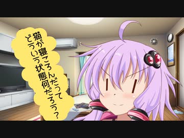 ゆかりさんは「猫が寝ころんだ」が気になってしまった！