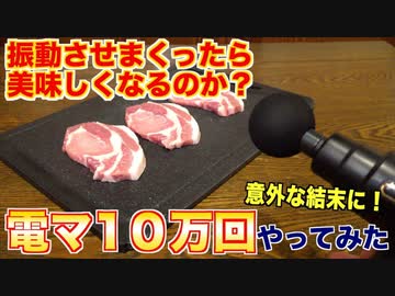 肉、10万回振動させてみた