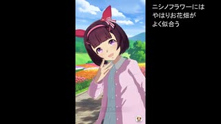 【ウマ娘】ニシノフラワーとウマさんぽしてみた