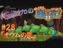 超魔界村プロの【帰ってきた魔界村】実況#28『オウムの罠』