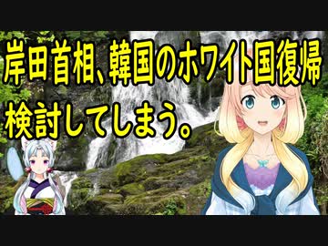 【韓国の反応】岸田さん、遂に韓国のホワイト国復帰を検討してしまう。【世界の〇〇にゅーす】