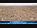 動物のエサを喰え