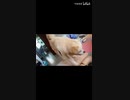 □: 犬が訴える~|□：The dog will sue