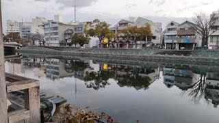 （時事）ファイザー潜入取材暴露「機能獲得実験と思考進化は実質同じ」追い込め！ｂｙ及川幸久！JPSikaDoctor「繰り返し接種でサイエンスのＩｇＧ４抗体が増える【アラ還・読書中毒】私事：高知から徳島