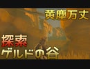 岩と砂の大地、ゲルド地方を巡る男　Part 11【ゼルダの伝説ブレスオブザワイルド】