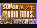 【実況者杯21本選】スーパー足ツボマリオブラザーズ～様々な大きさの突起がついたマット上で足踏みしながらW1-1攻略出来るか～【実況動画の部】
